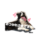 りーろ、にこ（個別スタンプ：7）