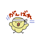 ぴよ太の毎日スタンプ（個別スタンプ：11）