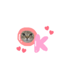 坪倉専用stamp✧︎*。（個別スタンプ：4）