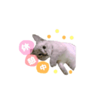 坪倉専用stamp✧︎*。（個別スタンプ：5）