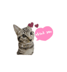 坪倉専用stamp✧︎*。（個別スタンプ：6）