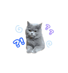 坪倉専用stamp✧︎*。（個別スタンプ：8）