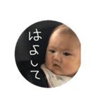 あおちゃんスタンプ！！！（個別スタンプ：4）