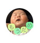 あおちゃんスタンプ！！！（個別スタンプ：7）