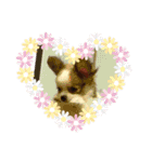 Cocoちゃん、時々ギャング（個別スタンプ：2）