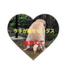 みつこの一日（個別スタンプ：1）