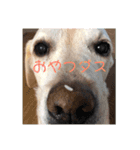 みつこの一日（個別スタンプ：11）