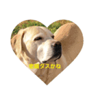 みつこの一日（個別スタンプ：16）