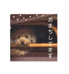 ショコラコレクション one（個別スタンプ：20）