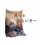ショコラコレクション one（個別スタンプ：38）
