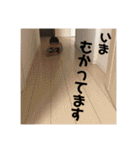 そうすけのスタンプ①（個別スタンプ：39）