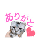 中島さん家のそらくん（個別スタンプ：5）