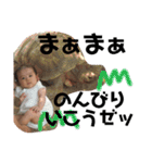 ひなちの日常 わがままver（個別スタンプ：7）
