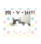 いとしのじじこちゃん（個別スタンプ：12）