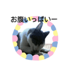 いとしのじじこちゃん（個別スタンプ：14）