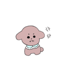 トイプードルのゆうたん（個別スタンプ：4）