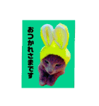 ワンダーランド①（個別スタンプ：13）