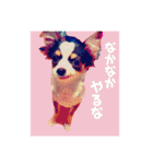 ワンダーランド①（個別スタンプ：14）