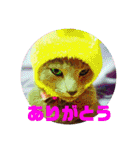 ワンダーランド①（個別スタンプ：17）