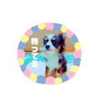 ワンダーランド①（個別スタンプ：18）