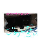 うちの変わった猫ちゃんと達〜（個別スタンプ：17）