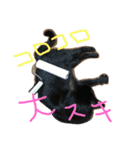 うちの変わった猫ちゃんと達〜（個別スタンプ：22）