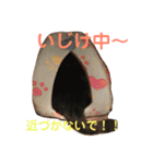 うちの変わった猫ちゃんと達〜（個別スタンプ：25）