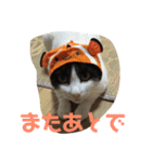 きな子.No,1（個別スタンプ：2）