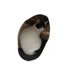 きな子.No,1（個別スタンプ：3）