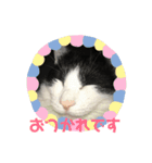 きな子.No,1（個別スタンプ：6）