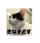 きな子.No,1（個別スタンプ：7）