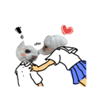 チワワとマルチーズ（個別スタンプ：14）