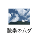 空  そら（個別スタンプ：6）