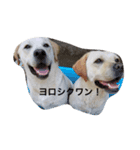 のんびり日常ハナ（個別スタンプ：2）