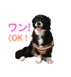コタローくん・あおちゃん・のりちゃん（個別スタンプ：3）
