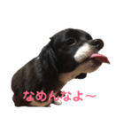 コタローくん・あおちゃん・のりちゃん（個別スタンプ：6）