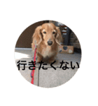 あとちゃんのスタンプ（個別スタンプ：15）