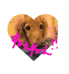 あとちゃんのスタンプ（個別スタンプ：21）
