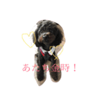 きんときラブ①（個別スタンプ：2）