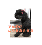 きんときラブ①（個別スタンプ：4）