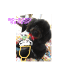 きんときラブ①（個別スタンプ：5）