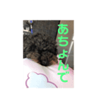 きんときラブ①（個別スタンプ：6）