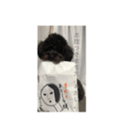 きんときラブ①（個別スタンプ：8）