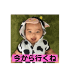 坊ちゃん⋆*（個別スタンプ：8）