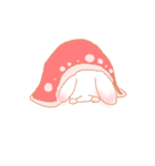 【毎日使える！】しろうさちゃんはかわいい（個別スタンプ：8）