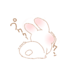 【毎日使える！】しろうさちゃんはかわいい（個別スタンプ：17）