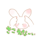 【毎日使える！】しろうさちゃんはかわいい（個別スタンプ：22）