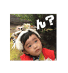 我が家の奏ちゃん（個別スタンプ：12）