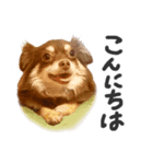 わんこフォトスタンプ2018（個別スタンプ：1）