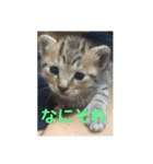 チョモ 2（個別スタンプ：2）